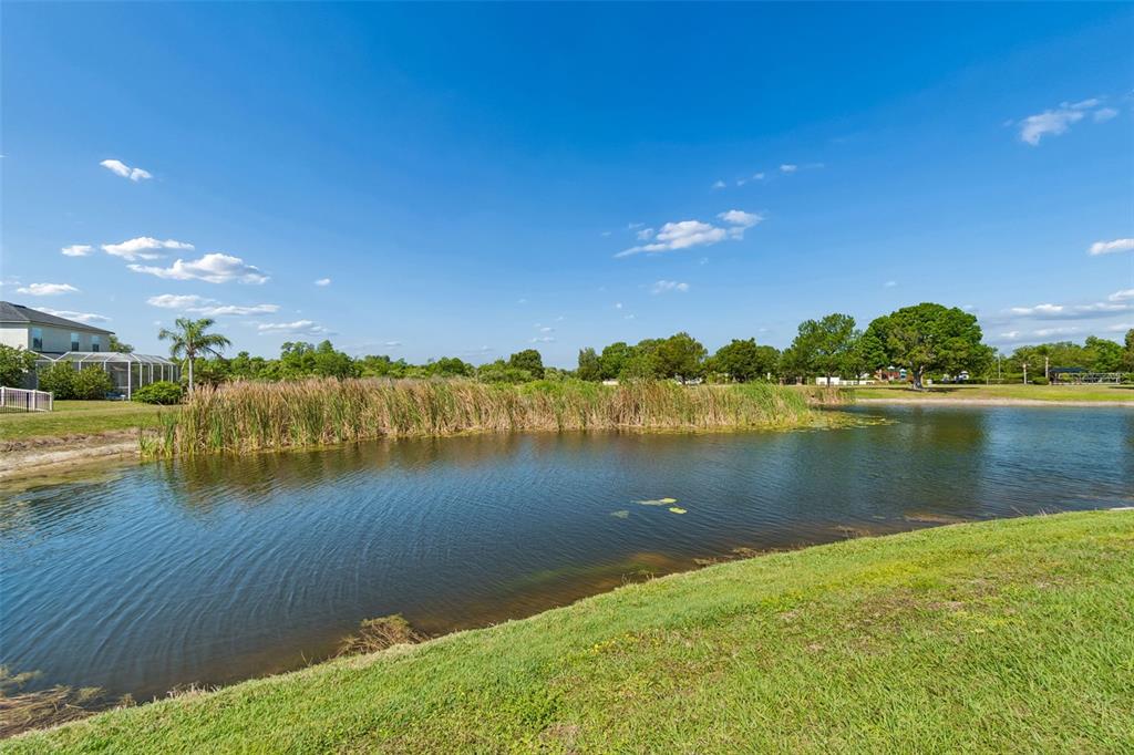 A pond with tall reeds sits in front of a house with a screened patio — 9515 SIMEON DRIVE, LAND O LAKES, FL