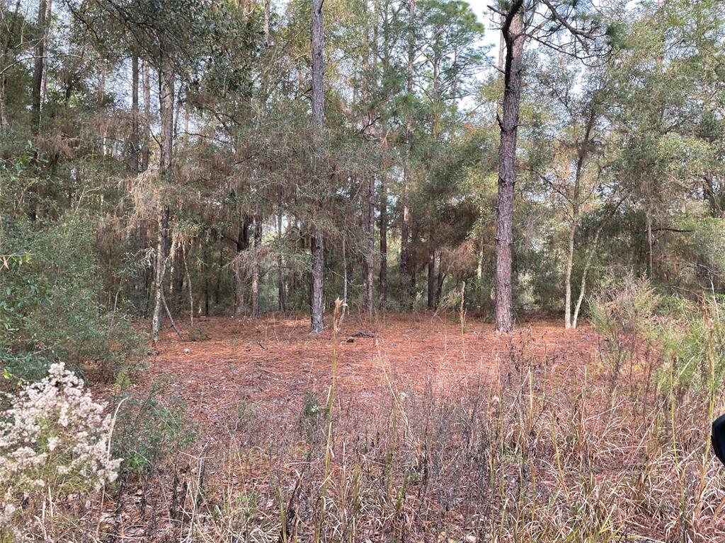 LOT 9 SW 152ND AVENUE