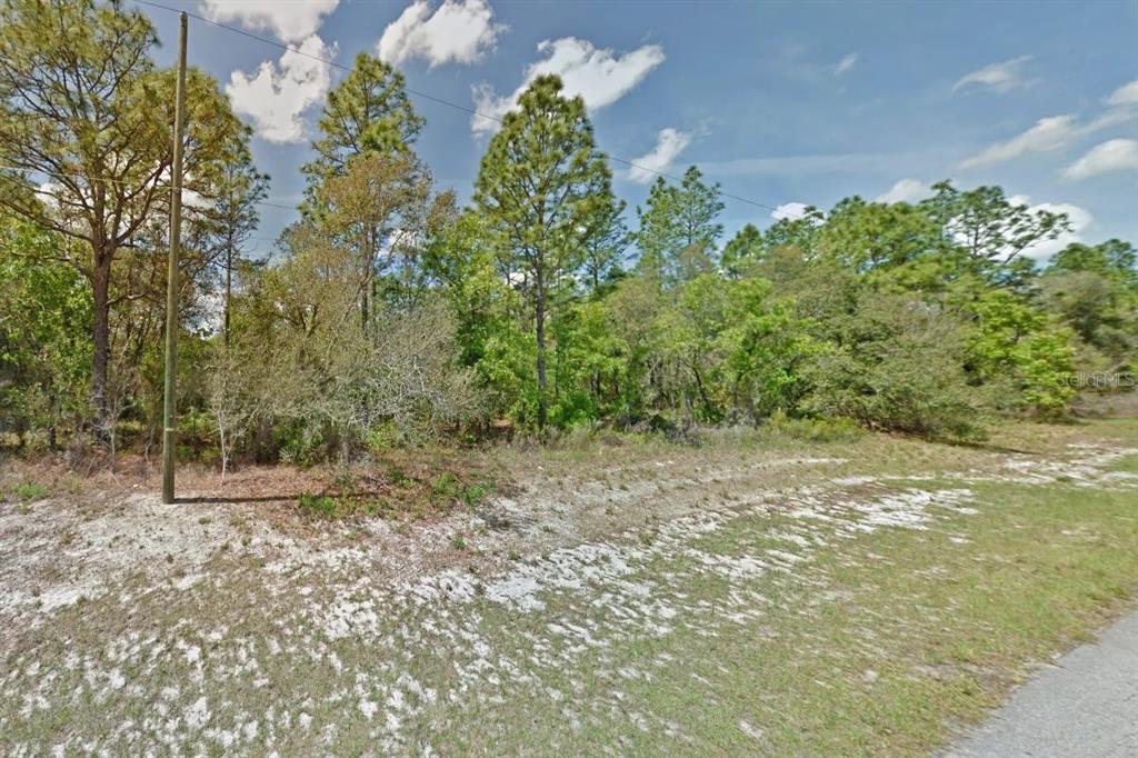 A vacant, wooded lot with sandy ground and a utility pole under a blue sky — 000 MARION OAKS PASS, OCALA, FL