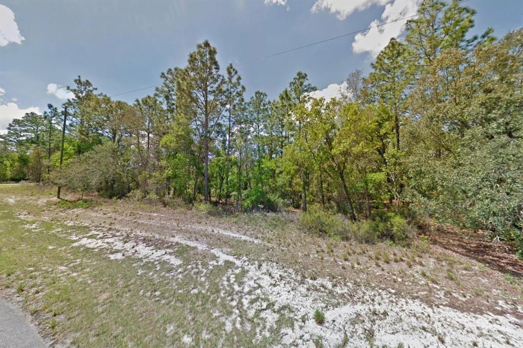 A wooded, undeveloped lot with sandy ground and tall pine trees under a blue sky — 000 MARION OAKS PASS, OCALA, FL