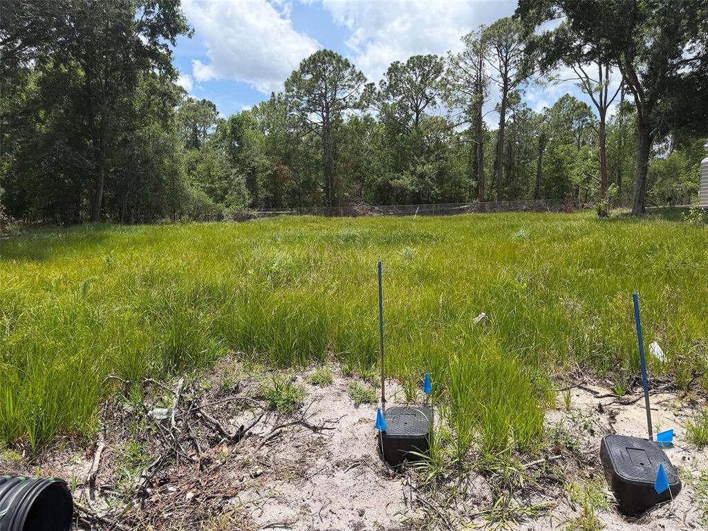 A grassy, undeveloped lot features two utility boxes with blue flags in the foreground — 5211 LAKE HAVEN BOULEVARD, SEBRING, FL