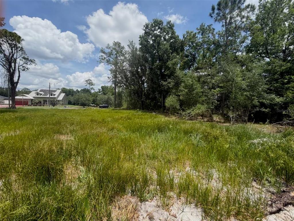 A grassy, undeveloped lot features scattered trees and a house visible in the background — 5211 LAKE HAVEN BOULEVARD, SEBRING, FL