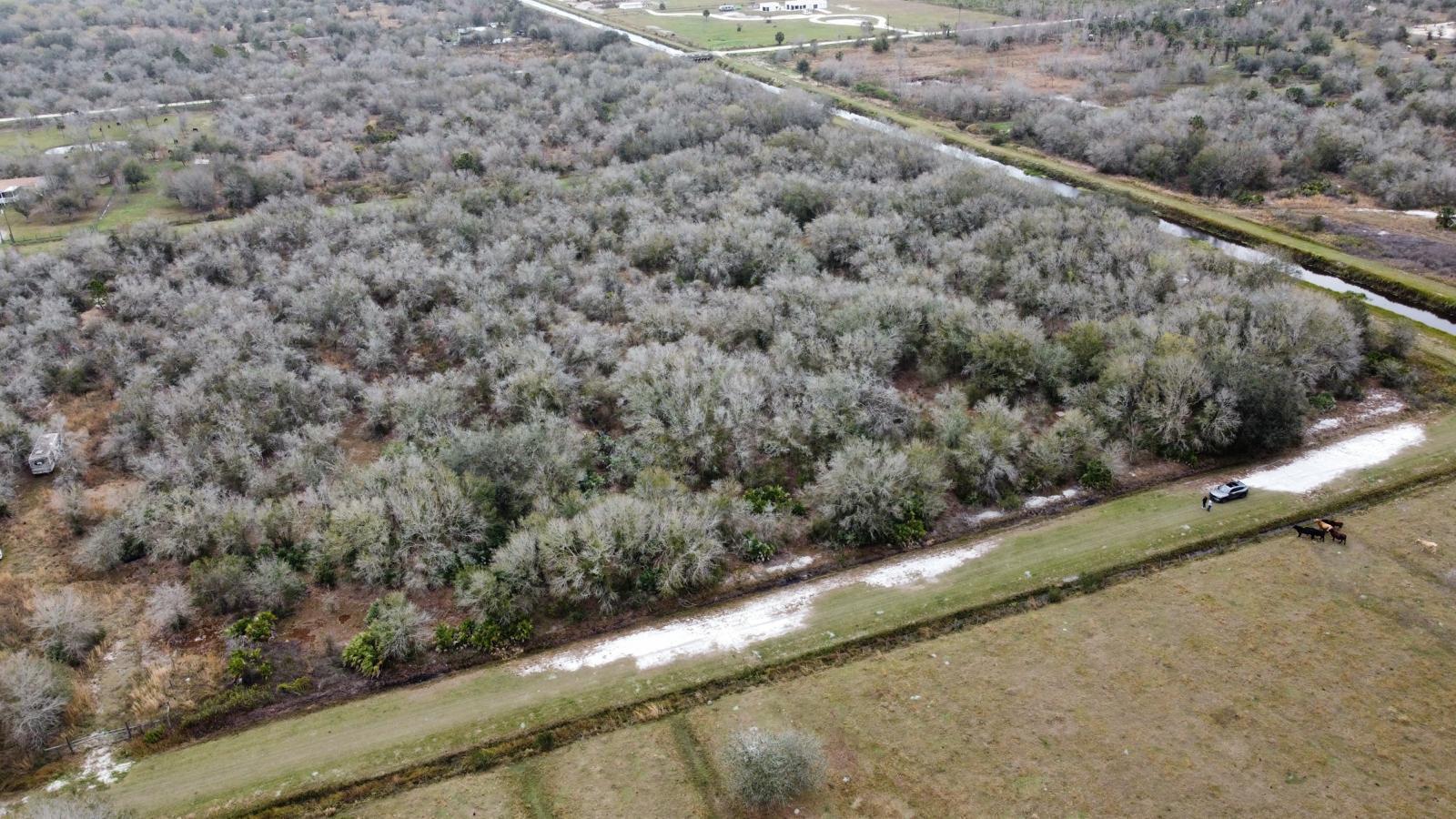 An aerial view shows a wooded lot bordered by a canal and a grassy field — 15839 NW 252nd Street, Okeechobee FL 34972, OKEECHOBEE, FL