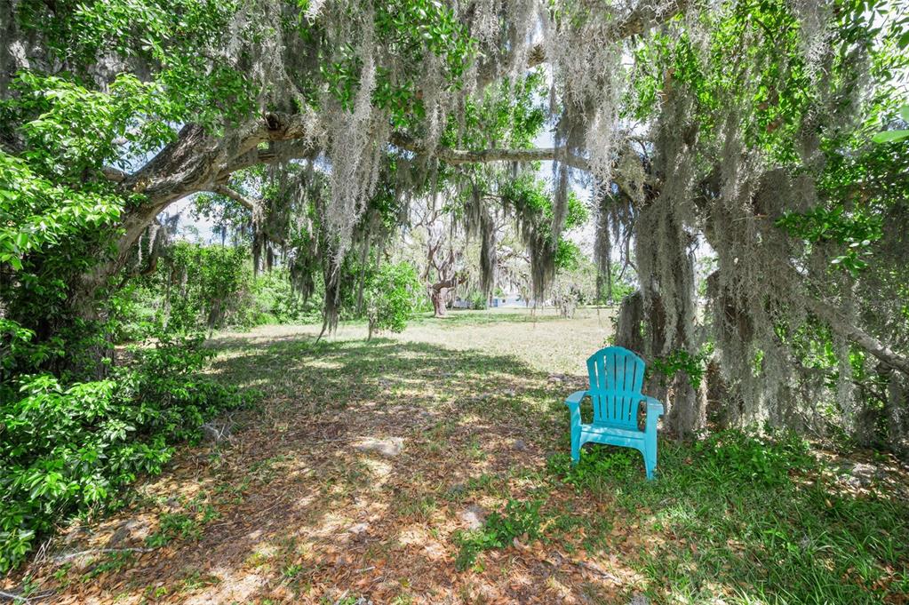 A bright blue Adirondack chair sits under large trees draped in Spanish moss — FLOTILLA, HOLIDAY, FL