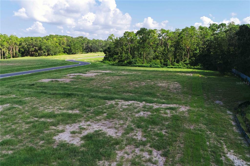 19319 DIMPLE DRIVE, ODESSA, FL — photo 3 of 11