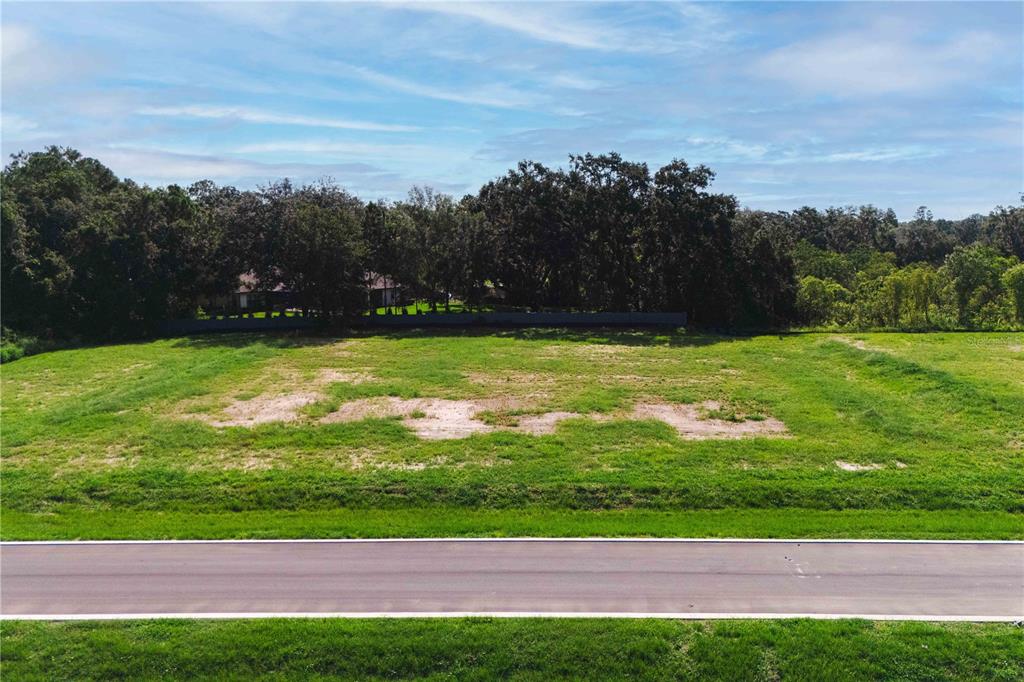 19319 DIMPLE DRIVE, ODESSA, FL — photo 4 of 11