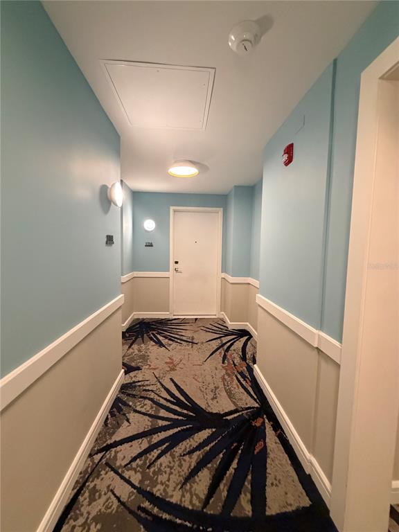 A hallway with light blue walls, white wainscoting, and a patterned carpet leads to a door — 3151 SUNSET WALK DRIVE UNIT 116, KISSIMMEE, FL