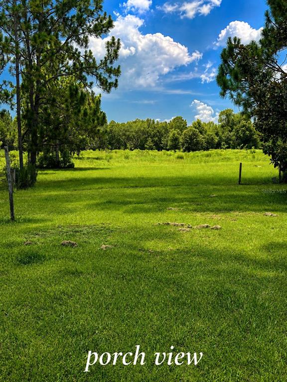 A grassy field extends toward a line of trees under a blue sky with clouds — 500 SW 110TH AVENUE, OCALA, FL