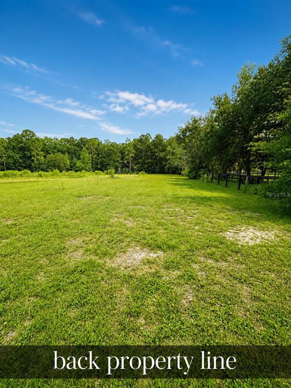 A grassy field extends toward a line of trees under a clear blue sky — 500 SW 110TH AVENUE, OCALA, FL