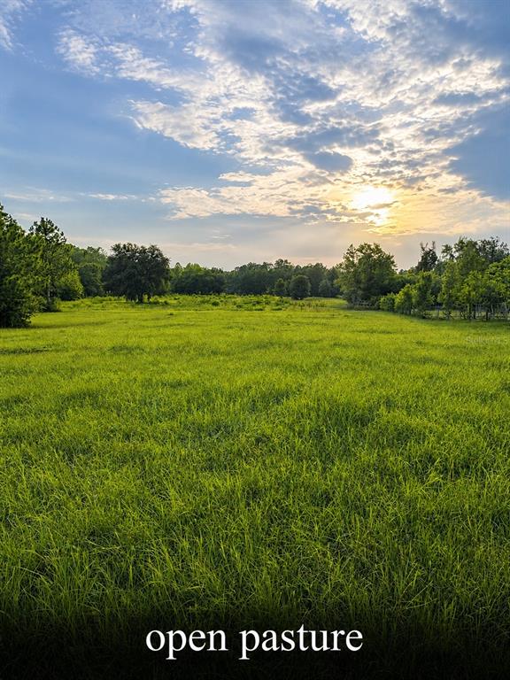 A wide, grassy open pasture is surrounded by trees under a cloudy sunset sky — 500 SW 110TH AVENUE, OCALA, FL