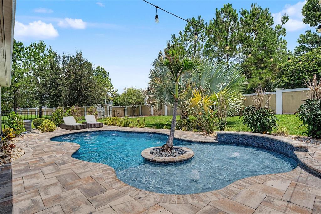 A backyard swimming pool features a central palm tree island, stone pavers, and string lights — 11882 FROST ASTER DRIVE, RIVERVIEW, FL