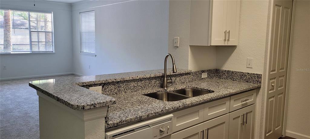 A kitchen with granite countertops, a double-basin sink, and white cabinets overlooking a carpeted room — 17104 CARRINGTON PARK DRIVE UNIT 513, TAMPA, FL