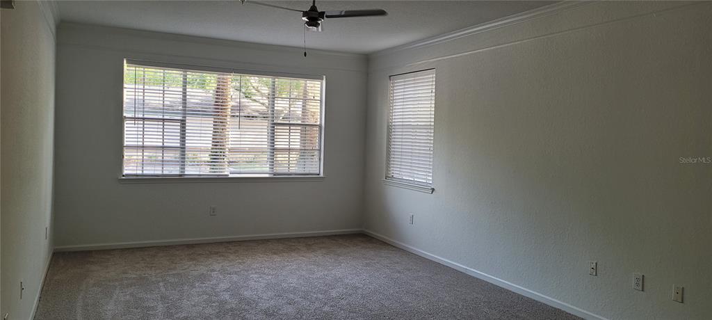 An empty room features beige carpet, white walls, two windows with blinds, and a ceiling fan — 17104 CARRINGTON PARK DRIVE UNIT 513, TAMPA, FL