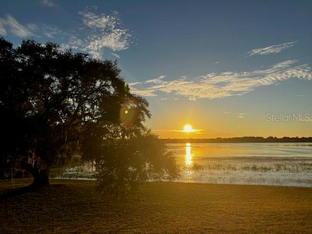 A large tree stands on a grassy shore overlooking a lake at sunset — 13 NW BUENA VISTA ROAD, DUNNELLON, FL