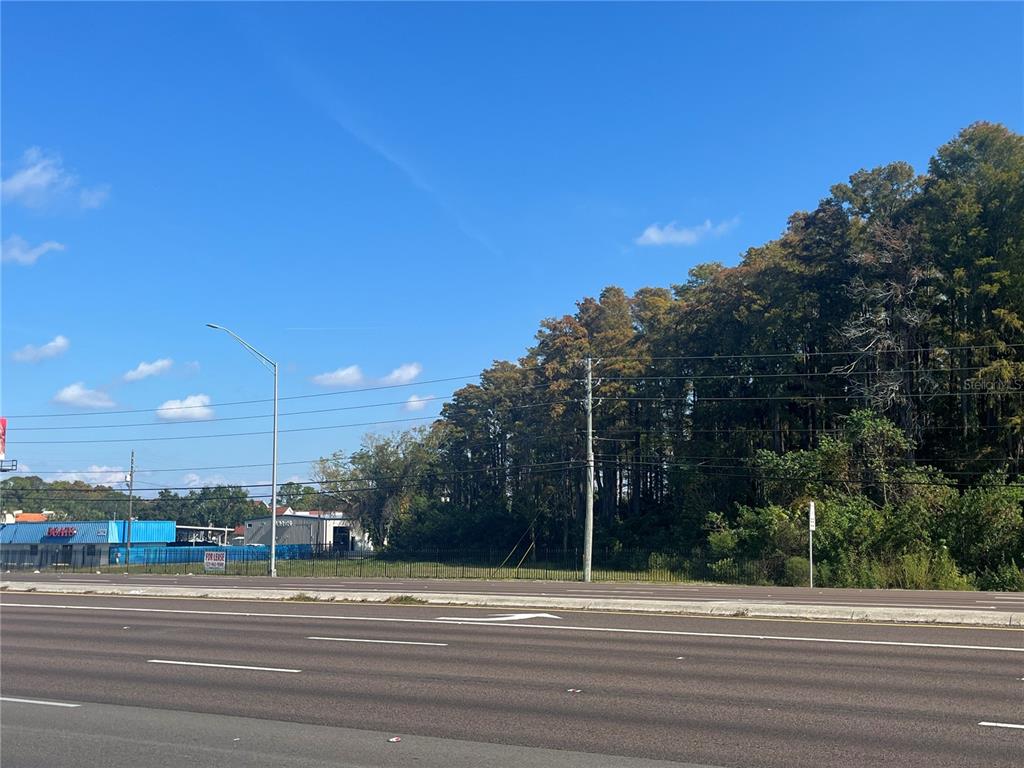 A vacant, grassy lot sits beside a road with a line of trees behind it — 0 US HIGHWAY 19 N, PALM HARBOR, FL