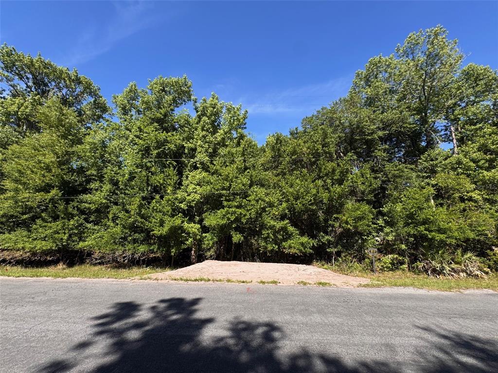A vacant, wooded residential lot with a small pile of dirt near the paved road — 5913 EDGERTON AVENUE, ORLANDO, FL