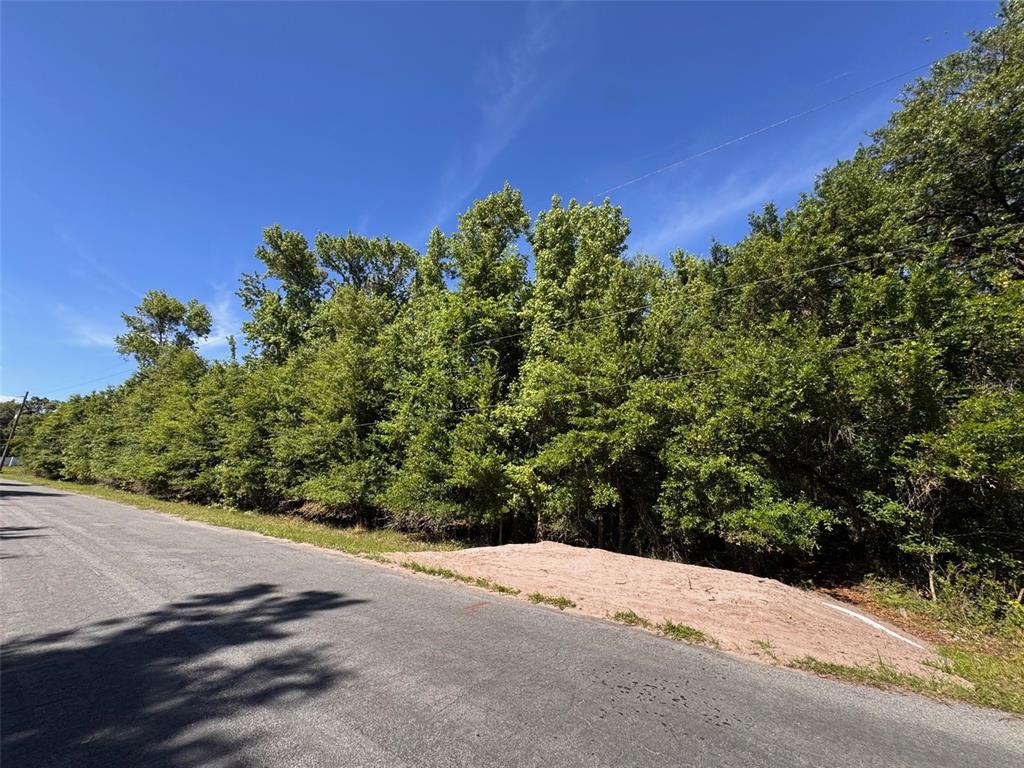 A paved road runs alongside a dense line of trees and a patch of sand — 5913 EDGERTON AVENUE, ORLANDO, FL