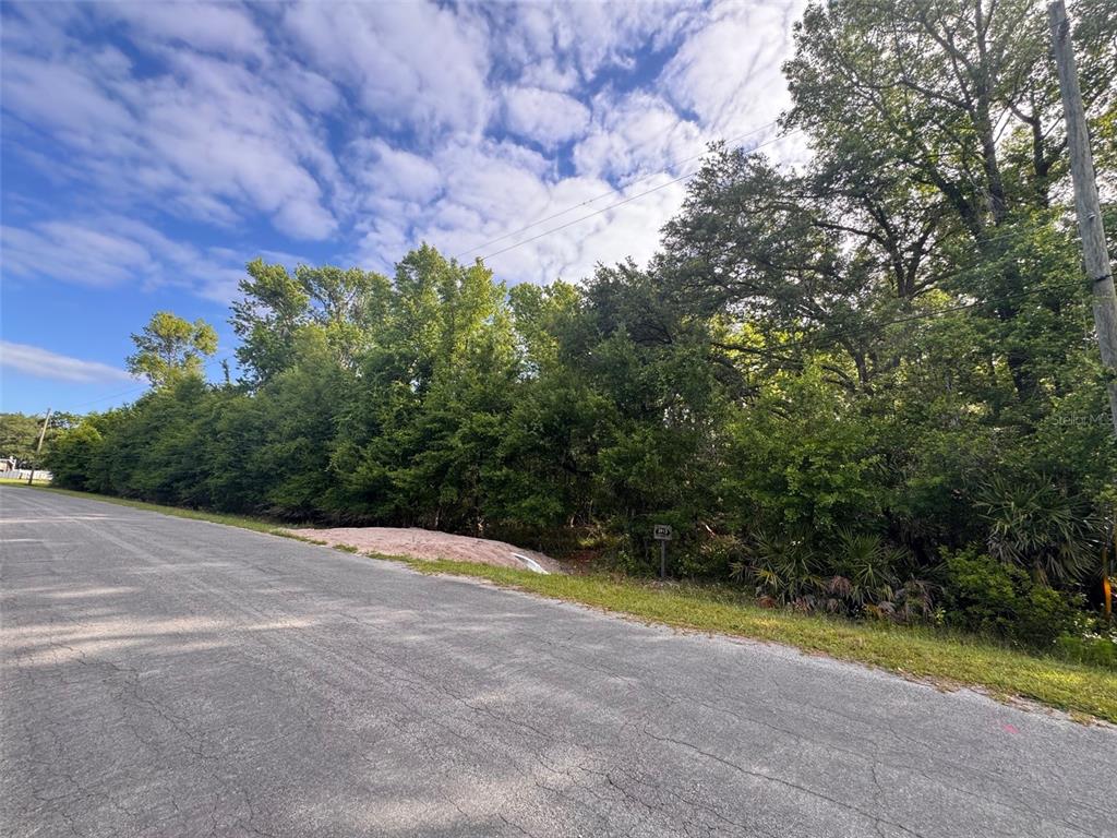 A paved road runs alongside a wooded, undeveloped lot under a cloudy blue sky — 5913 EDGERTON AVENUE, ORLANDO, FL