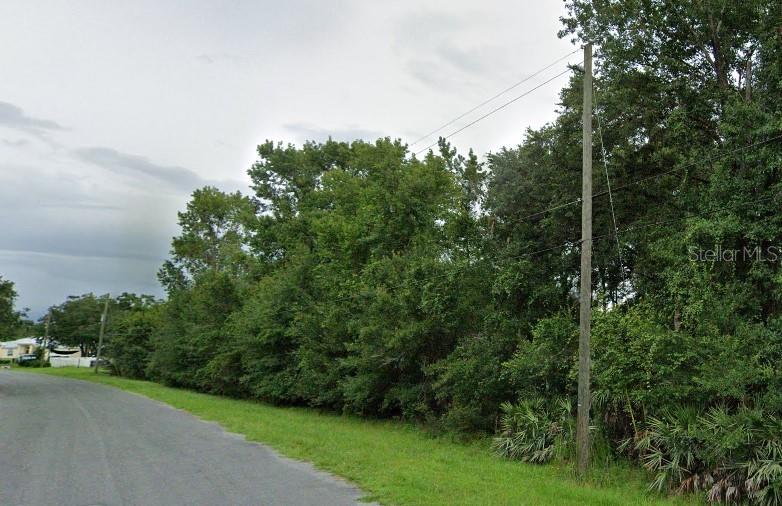 A paved road runs alongside a grassy area with dense trees and a utility pole — 5913 EDGERTON AVENUE, ORLANDO, FL