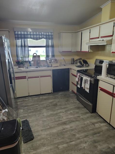 A kitchen features off-white cabinets with red trim, a black dishwasher, and wood-look flooring — 38553 ALSTON AVENUE, ZEPHYRHILLS, FL