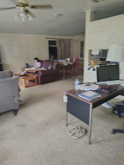A living room features beige carpet, a ceiling fan, a desk, and a brown sofa — 38553 ALSTON AVENUE, ZEPHYRHILLS, FL