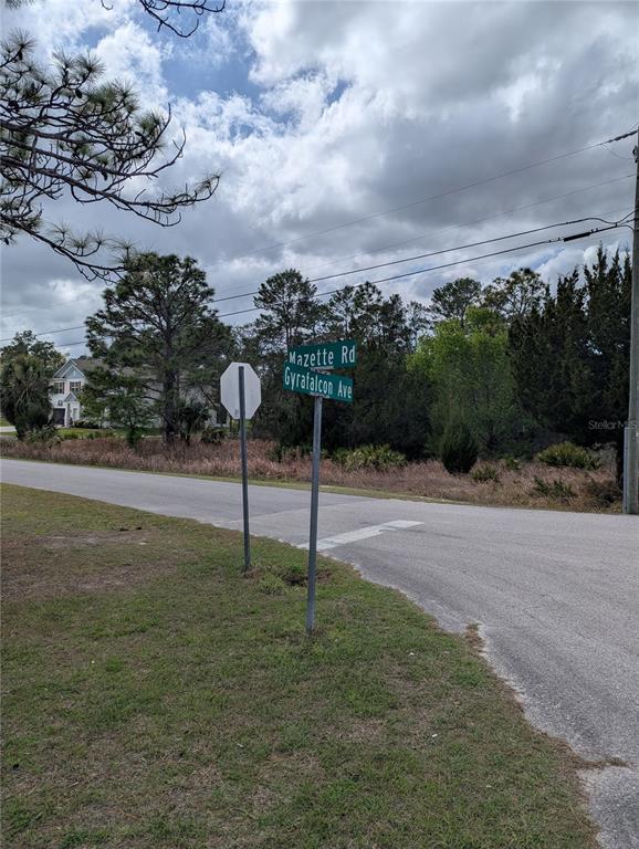 A street sign marks the intersection of Mazette Road and Gyrafalcon Avenue near a wooded lot — 0 MAZETTE ROAD, WEEKI WACHEE, FL