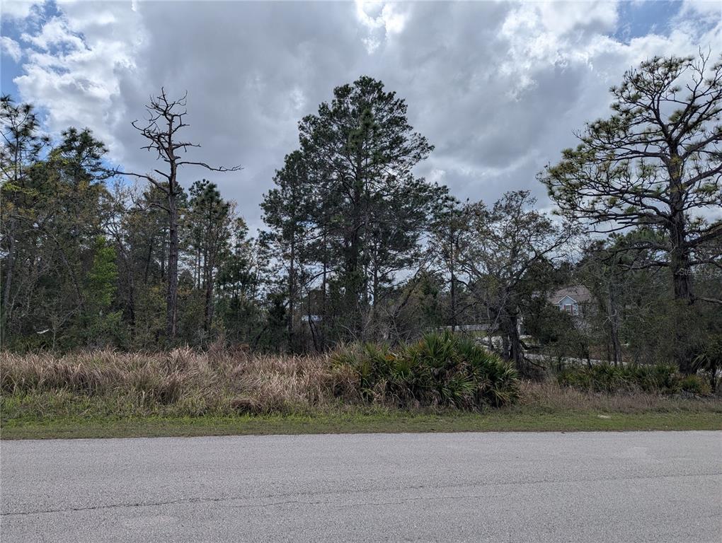 A view of a vacant, wooded lot from an adjacent paved road — 0 MAZETTE ROAD, WEEKI WACHEE, FL