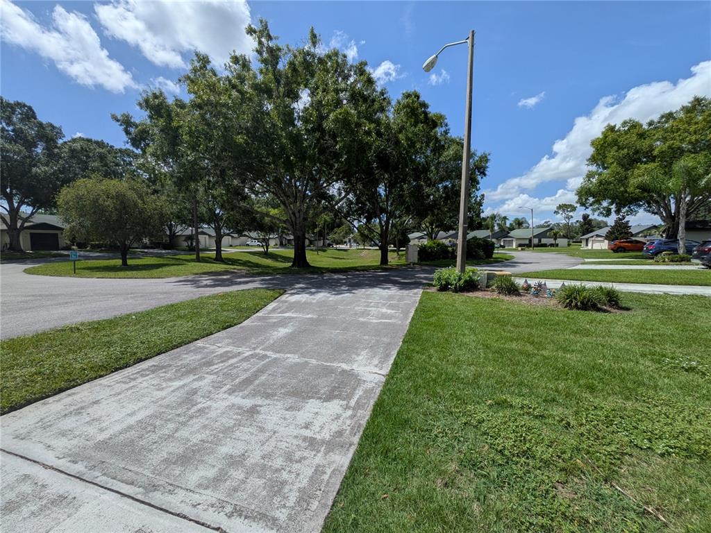A concrete driveway leads toward a residential street lined with trees and houses — 29 BUCK CIRCLE, HAINES CITY, FL