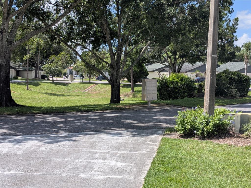 A neighborhood street scene featuring a cluster mailbox, mature trees, and residential homes — 29 BUCK CIRCLE, HAINES CITY, FL