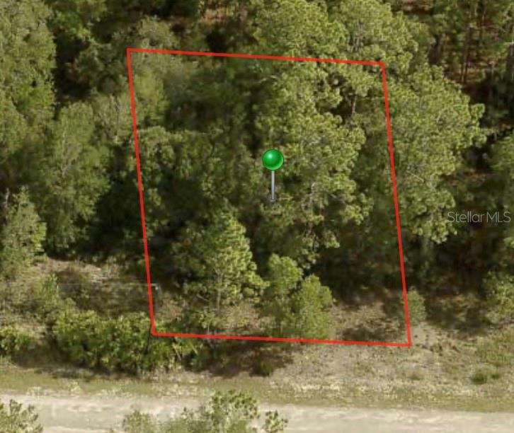 This is an aerial view of a wooded, rectangular plot of land outlined in red — 1245 W RILEY DRIVE, CITRUS SPRINGS, FL