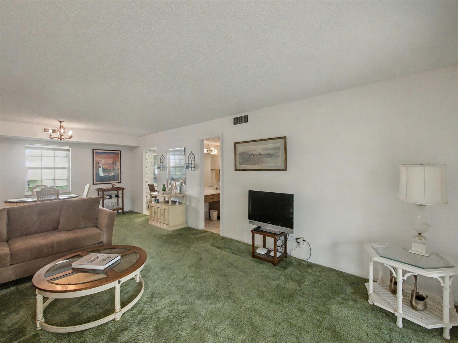A living room features green wall-to-wall carpeting, a brown sofa, and a television on a stand — 1205 Sandy Lane # 246, Singer Island FL 33404, SINGER ISLAND, FL