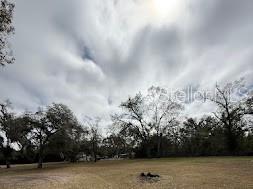 A grassy, open lot features scattered mature trees under a cloudy sky — 7040 LUMBERTON ROAD, ZEPHYRHILLS, FL