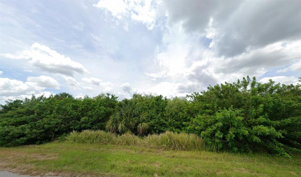 A view of a grassy lot bordered by dense green trees and shrubs — 2307 MEETZE STREET, PORT CHARLOTTE, FL