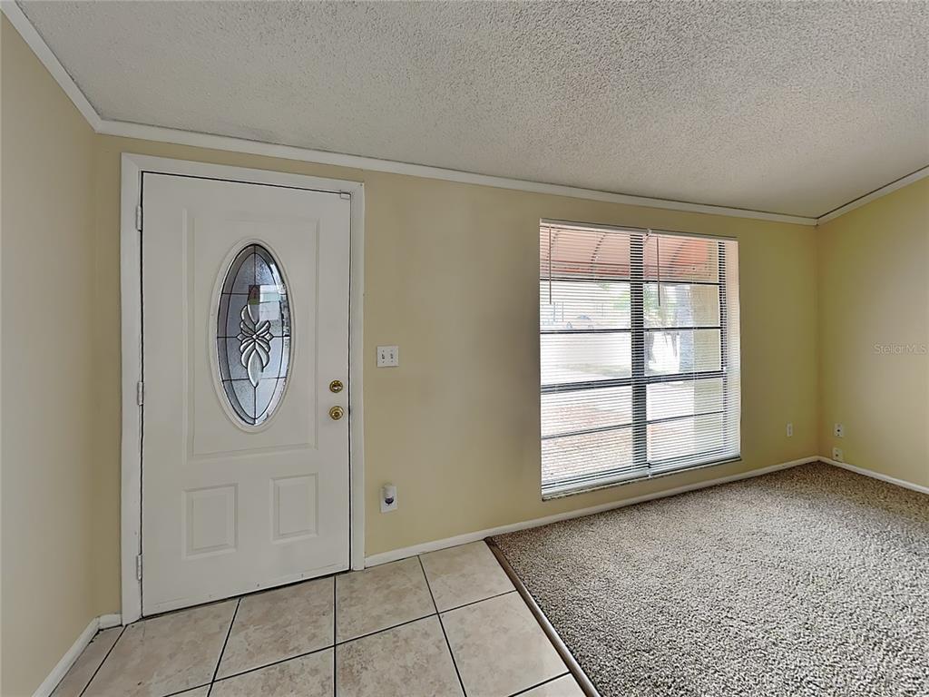 An entryway with a white front door, tiled floor, and an adjacent carpeted living area — 9515 LETTERSTONE COURT, TAMPA, FL