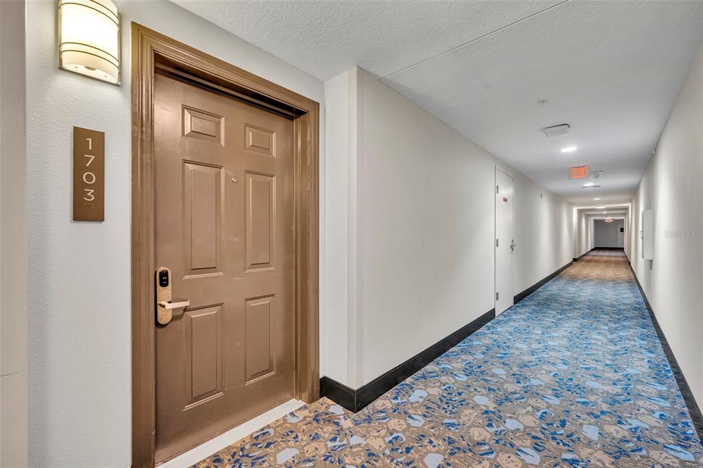 A brown apartment door labeled 1703 sits in a hallway with patterned blue carpet — 14501 GROVE RESORT AVENUE UNIT 1703, WINTER GARDEN, FL