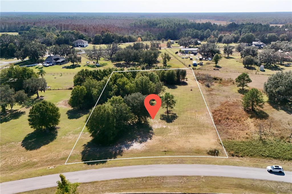 An aerial view shows a vacant, partially wooded lot outlined in white along a road — GREENGROVE BOULEVARD, CLERMONT, FL