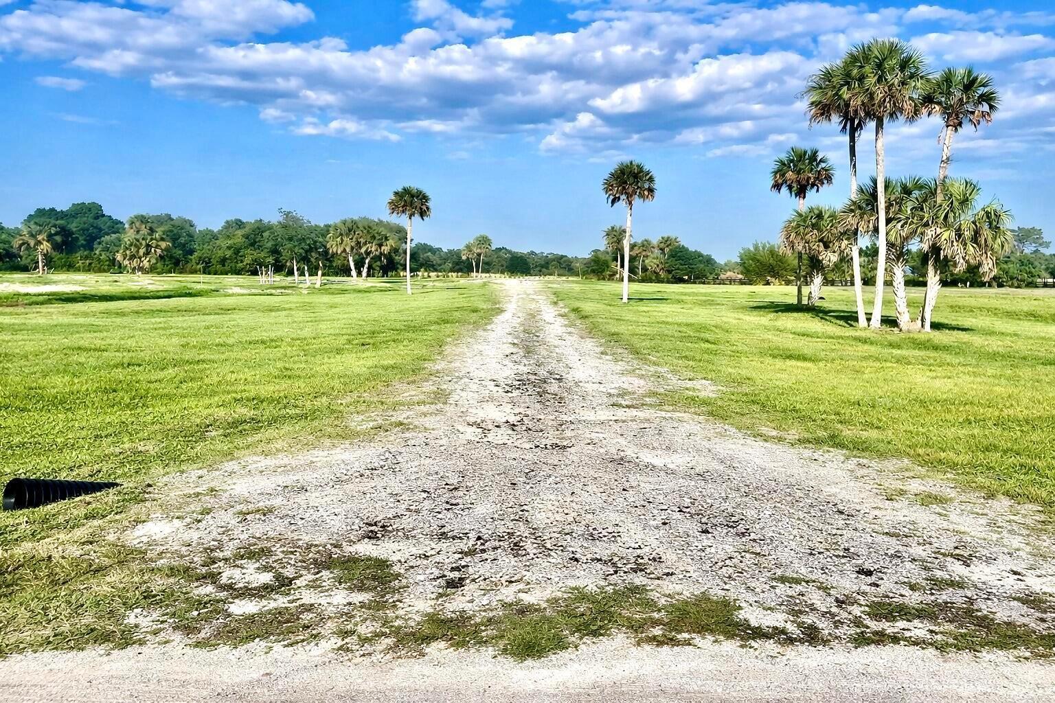 A gravel driveway leads through a grassy field dotted with palm trees under a blue sky — 2452 SE 130th Way, Okeechobee FL 34974, OKEECHOBEE, FL