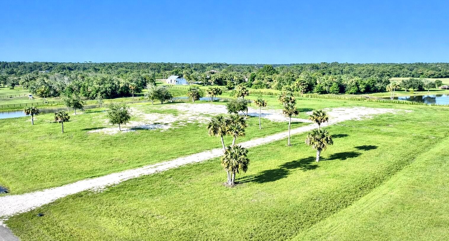 An aerial view of a grassy field with scattered palm trees and a dirt path — 2452 SE 130th Way, Okeechobee FL 34974, OKEECHOBEE, FL