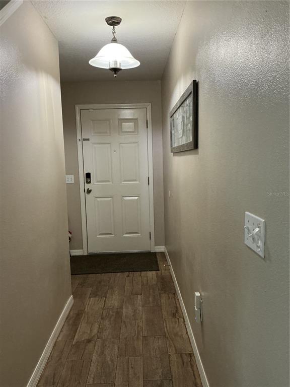 A narrow entryway features a white front door, wood-look tile flooring, and a pendant light — 5308 ALOHA SEED DRIVE, SEFFNER, FL