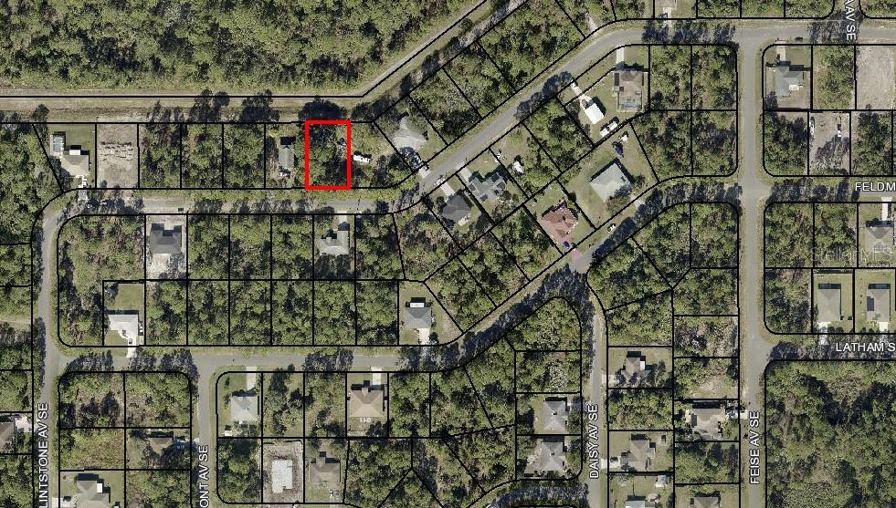 This is an aerial map showing a highlighted vacant lot within a residential neighborhood — 171 DAILEY STREET SE, PALM BAY, FL