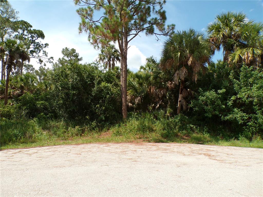 A view of a vacant, wooded lot with tall pine and palm trees — TORCH COURT, NORTH PORT, FL