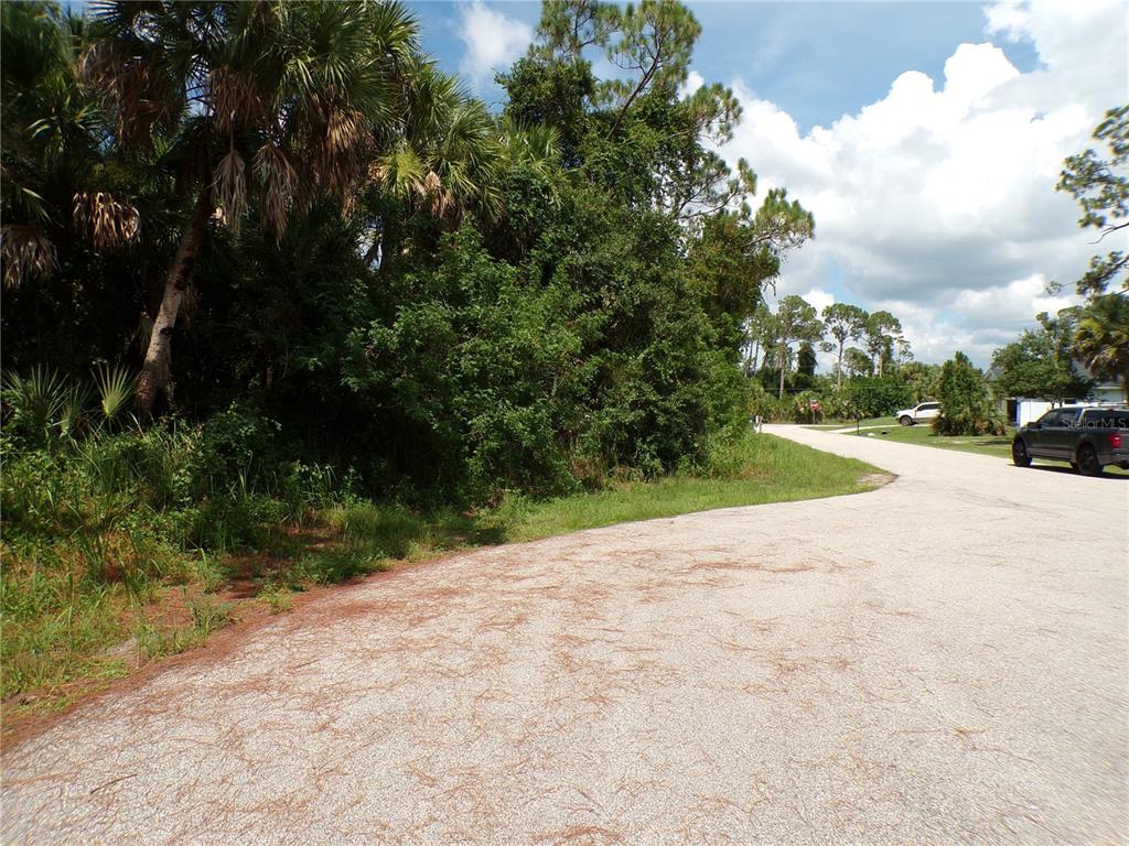 A paved road curves past a wooded lot with dense vegetation and palm trees — TORCH COURT, NORTH PORT, FL