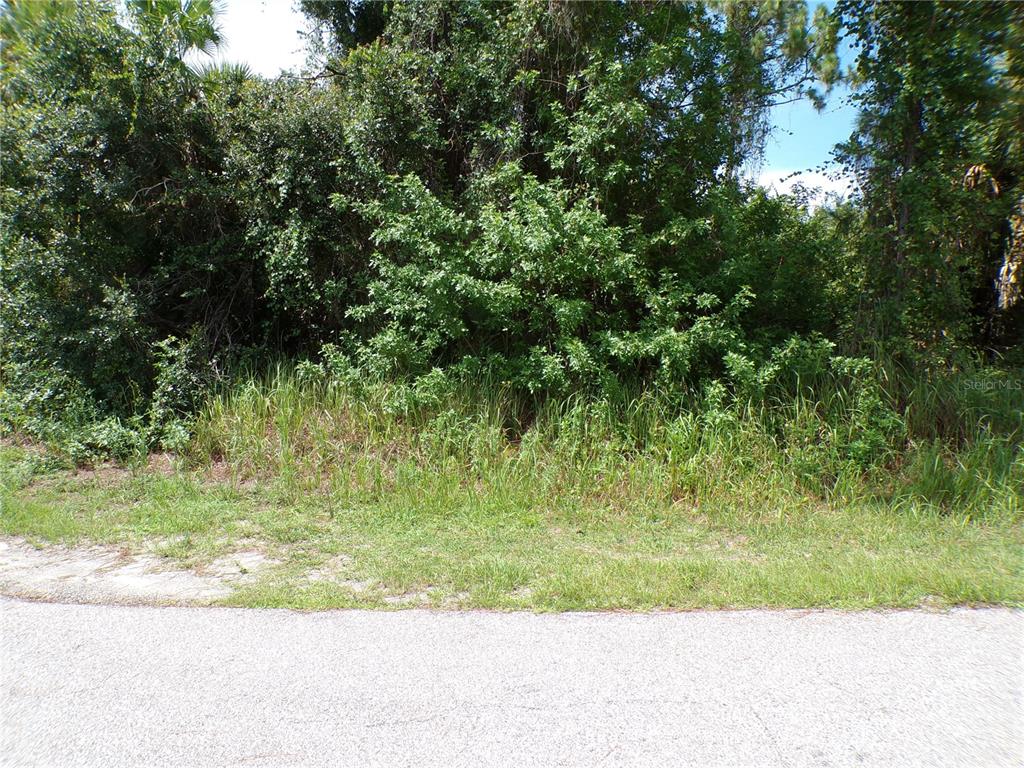 A view of a densely wooded, undeveloped lot from an adjacent paved road — TORCH COURT, NORTH PORT, FL