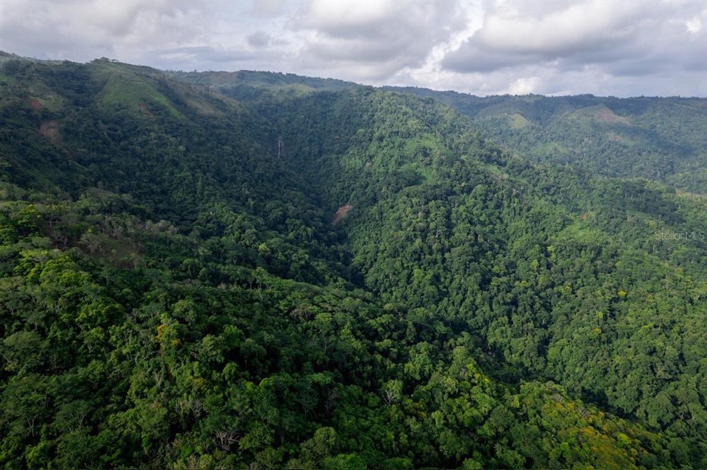 An aerial view shows a dense, green, mountainous forest landscape under a cloudy sky — 000 BAJO LOS INDIOS, PUNTARENAS, FL