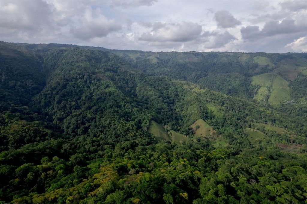 An aerial view shows a lush, forested mountain landscape with patches of cleared green land — 000 BAJO LOS INDIOS, PUNTARENAS, FL