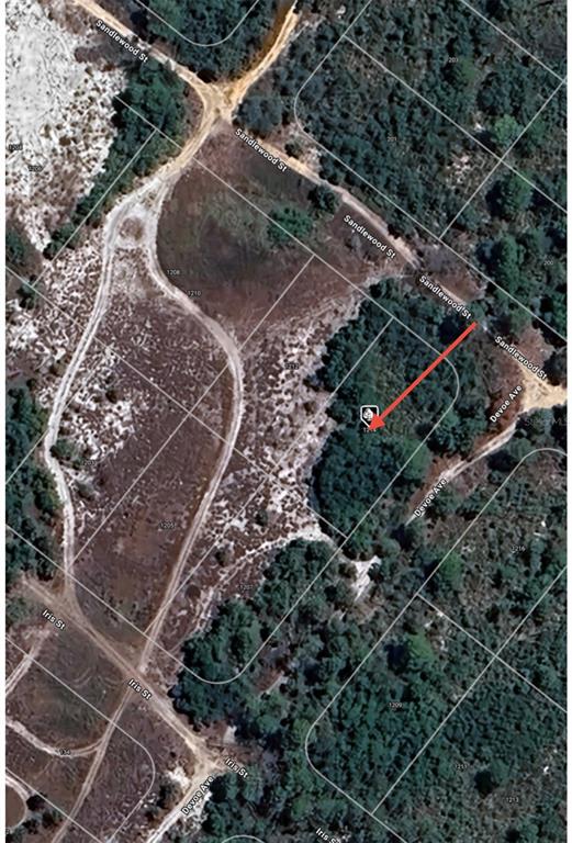 This is an aerial map showing a wooded residential lot with an arrow pointing to it — 1214 SANDLEWOOD STREET, LAKE PLACID, FL