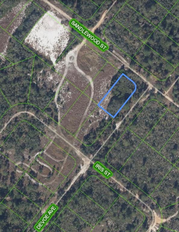 This is an aerial map view showing a rectangular plot of land highlighted in blue — 1214 SANDLEWOOD STREET, LAKE PLACID, FL