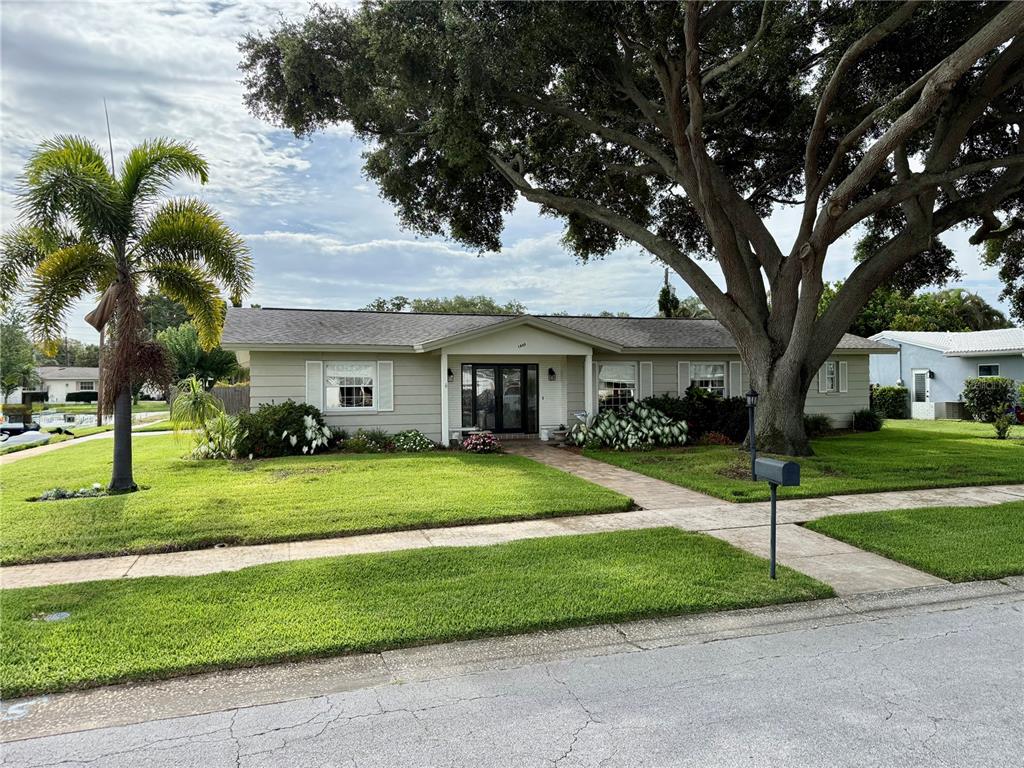 A single-story house with light siding, a large tree, and a palm tree in front — 1853 PARADISE LANE, CLEARWATER, FL