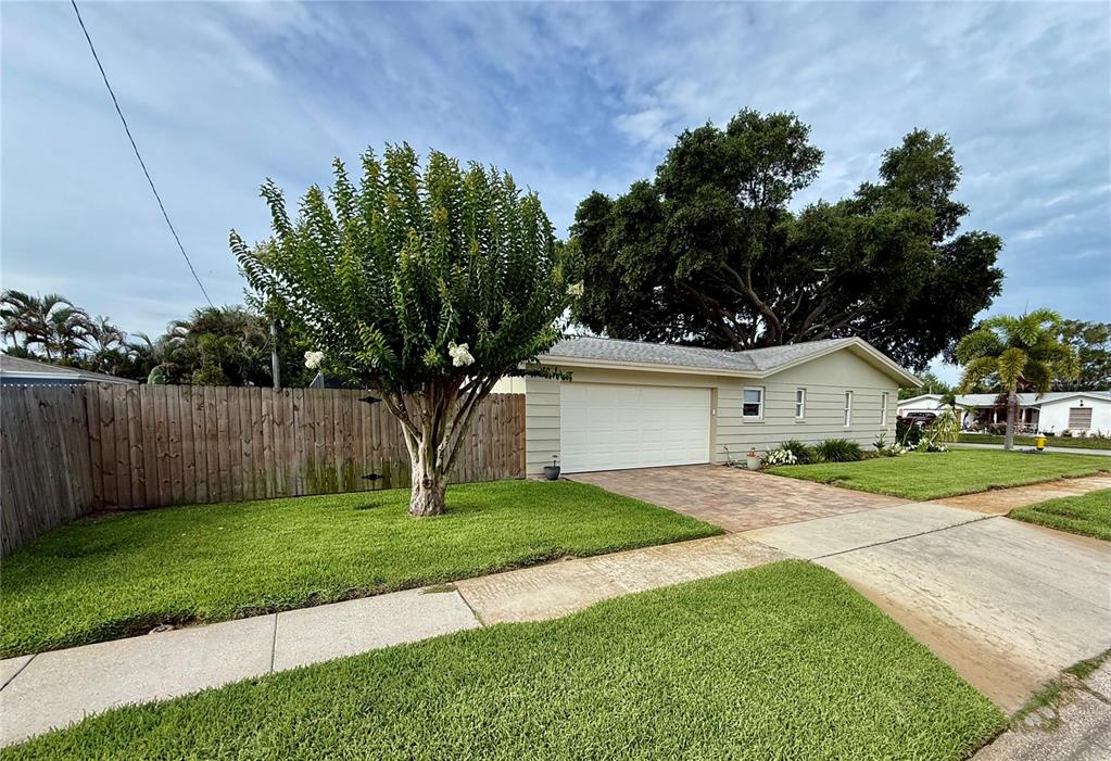 A single-story house with a white garage door, a paved driveway, and a large tree — 1853 PARADISE LANE, CLEARWATER, FL