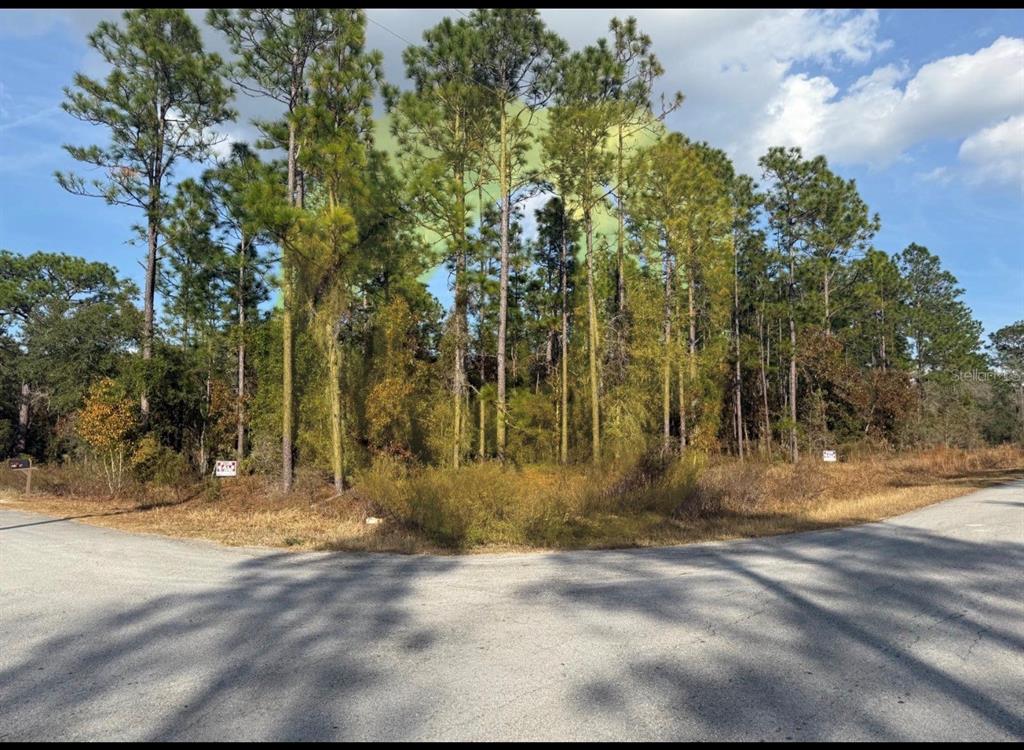 A vacant, wooded corner lot features tall pine trees and dry brush along a road — 0 SUNSET AVENUE NW, DUNNELLON, FL